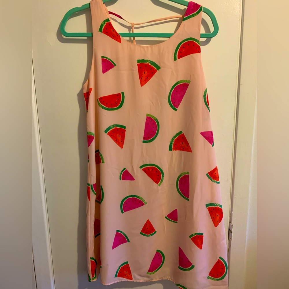 Everly size medium sleeveless watermelon print shift minidress